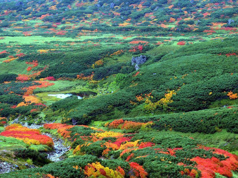 Asahidake Yumoto Yukomanso Higashikawa Bagian luar foto